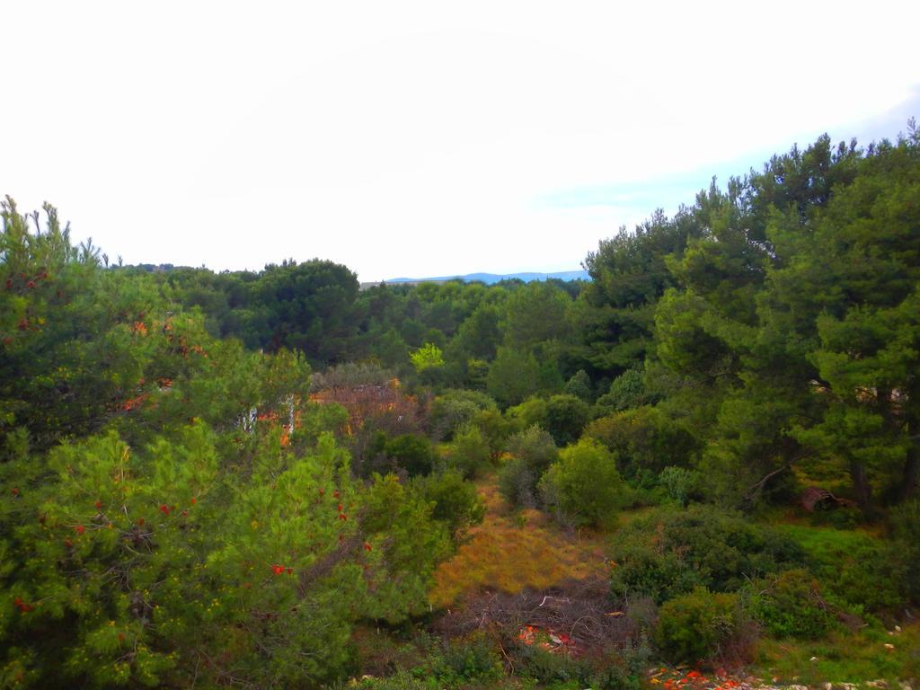 Apartments Ankica Σίμπενικ Εξωτερικό φωτογραφία